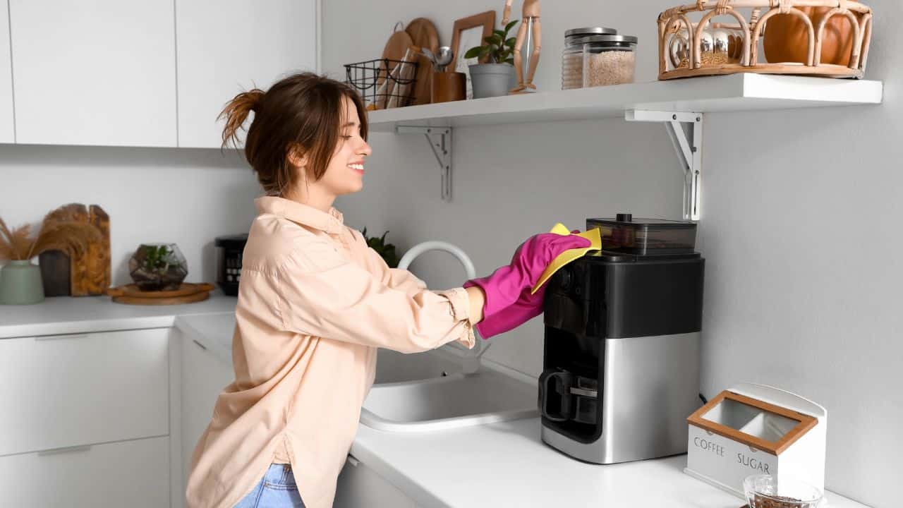 What To Expect When Descaling a Scotsman and KitchenAid Appliance