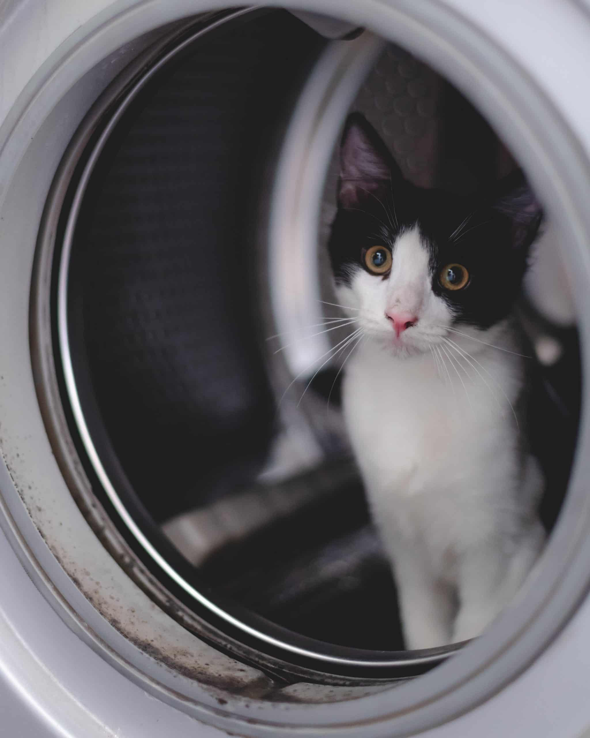 maintenance for your dryer