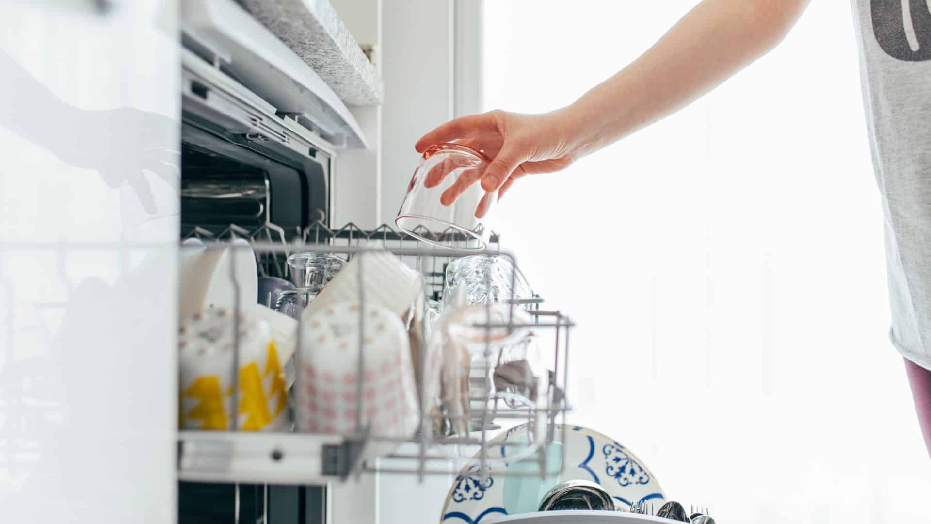 Dishwasher appliance maintenance.