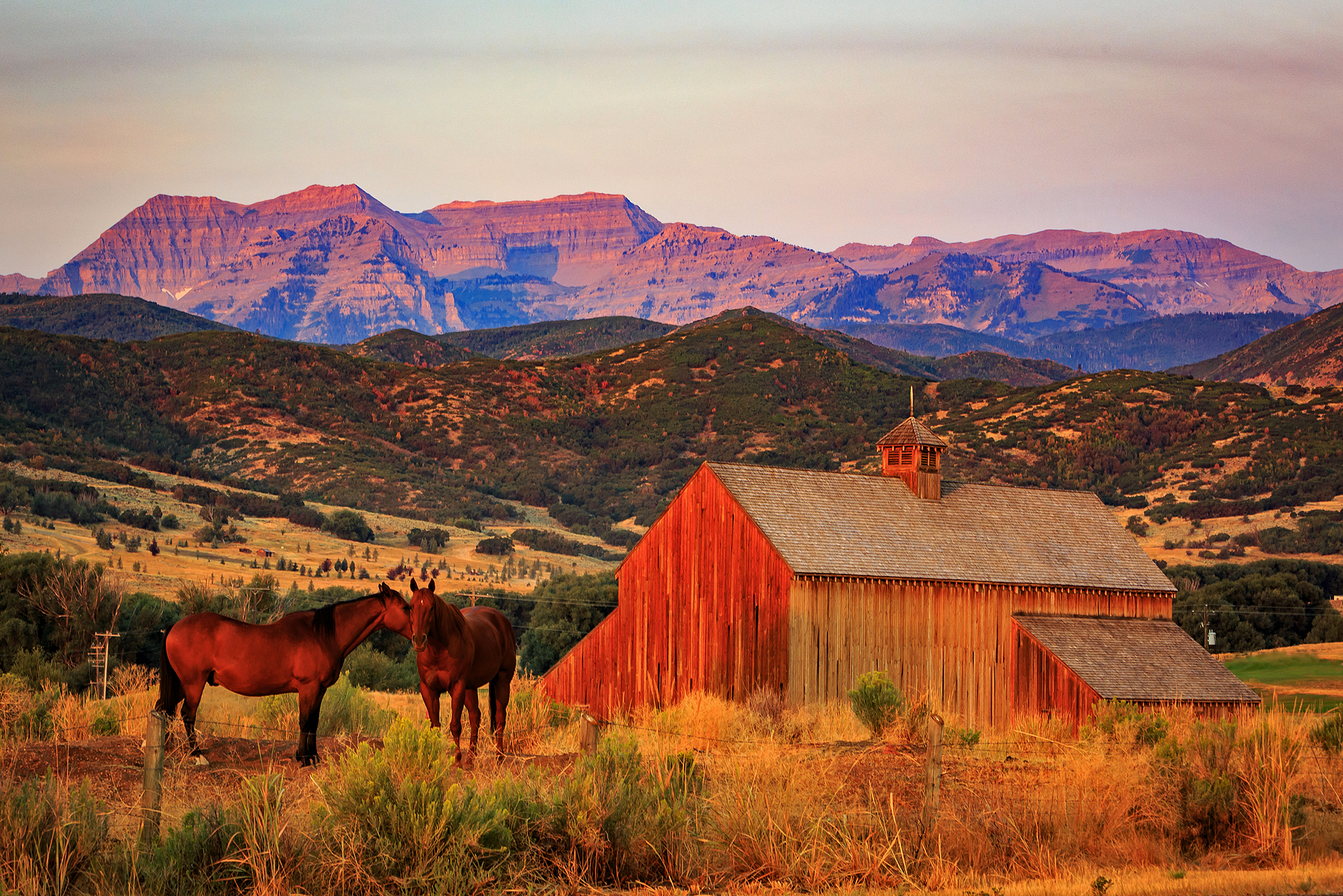 Appliance Repair Heber Valley Utah